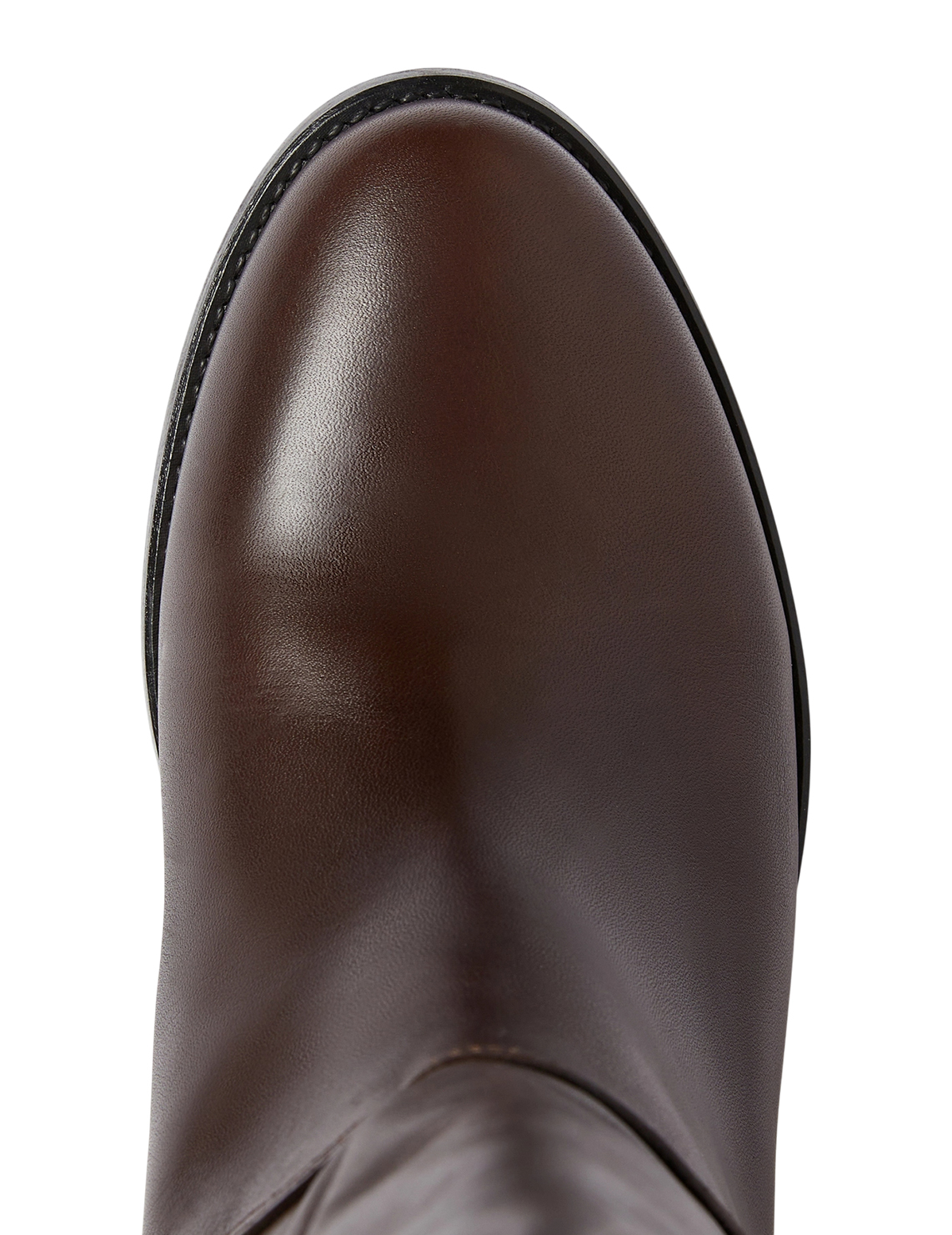 Чоботи Bernini